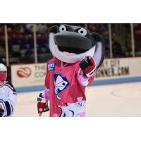 Finn's Famous Friends: Celebrity Encounters with the South Carolina Stingrays Mascot